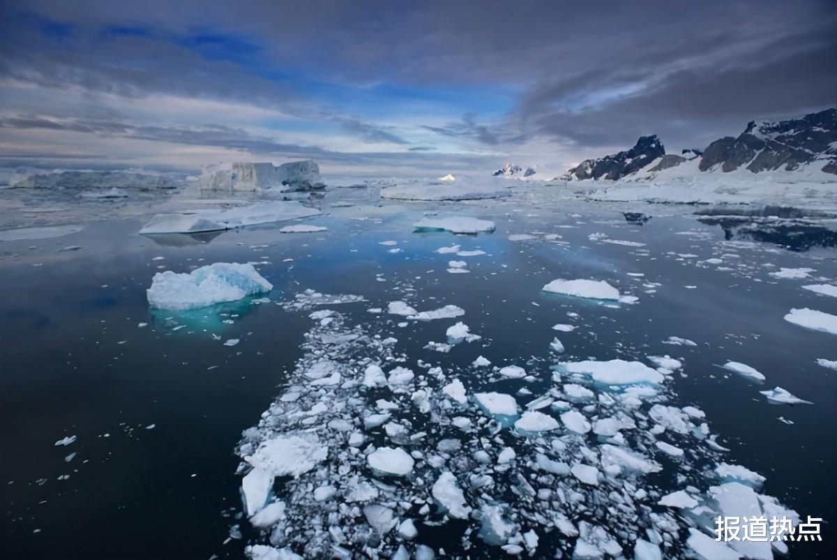 南极 现存5亿吨！一大“粮食”取之不尽，南极一跃成为“人类食品库”