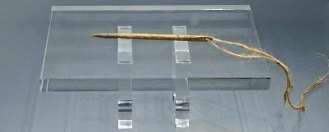 西北忘长安 蒙城唯一的4A景区，占地面积12000平方米，至今仍然免费对外开放