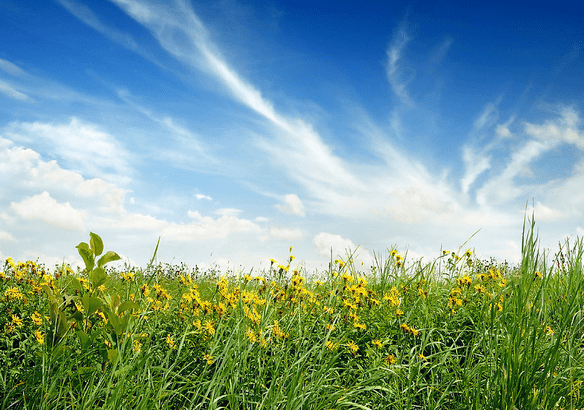 微笑向阳|珍惜整天惦记你的人，因为他是在意你的！