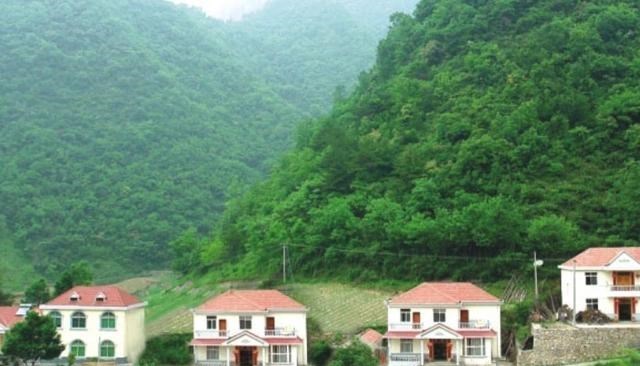 缘来妈咪 湖北“第一富豪村”，家家住别墅、开汽车，全村实现共同富裕
