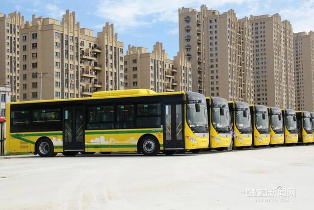 哈尔滨新闻网 从“摩电”到“大辫子”，再到纯电动车型丨哈埠公交：车轮向前，承载岁月驶入繁华