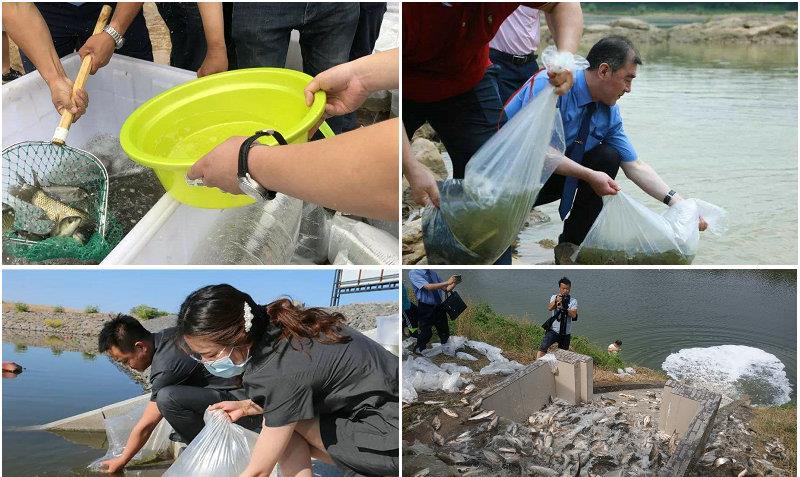 金沙江|一天钓鱼一两百斤?金沙江边上演垂钓狂欢,知情者:放了几十吨鱼