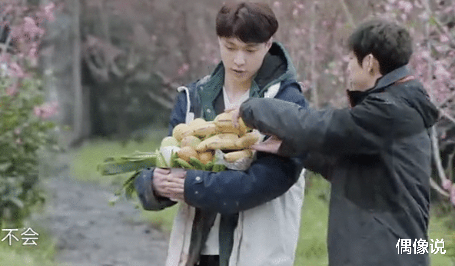 张艺兴|何炅给张艺兴扣扣子，靠他肩膀上，还给他铺床，彭昱畅没这待遇！