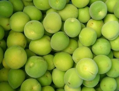 青梅|青梅养肝排毒，是肝脏的健康“卫士”