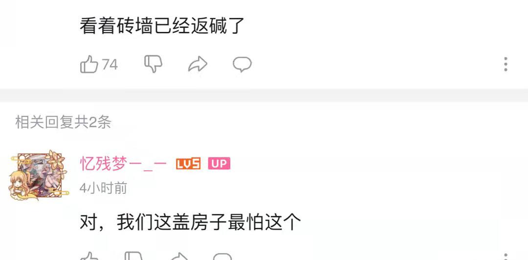 梦想改造家的设计师还好意思说因地制宜?砖房已经开始反碱了