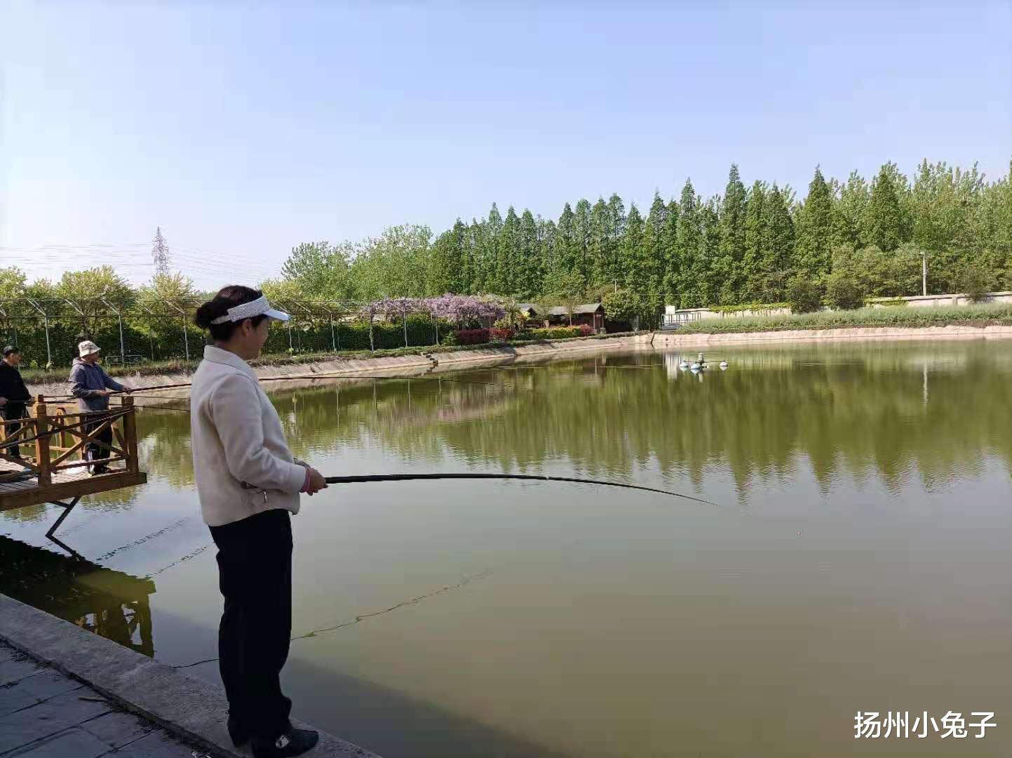 大舜|幸无太公心，不求文王顾，只是钓鱼