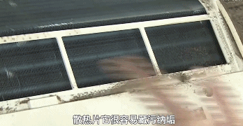 家居超人|家里这个地方，比马桶还脏！一年还洗不到一次澡