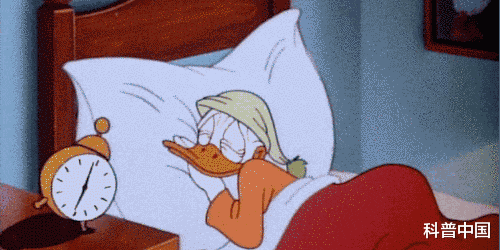 睡眠|一女生睡姿不对导致脊柱侧弯！睡觉究竟侧卧好，还是平躺好？