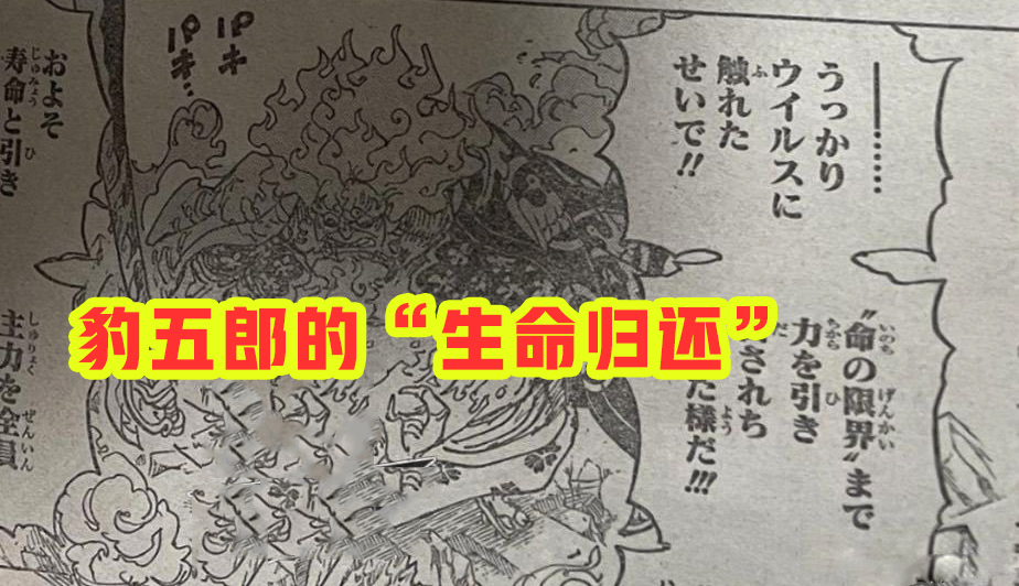 海贼王|海贼王1006话:小马哥被烬斩落翅膀,豹五郎释放“生命归还”