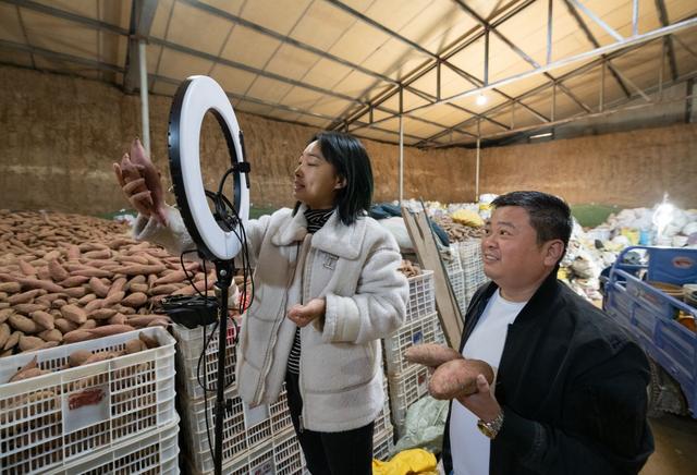 电子商务|一天能卖出2万斤!夏津:黄河“薯蜜”的电商“突围”