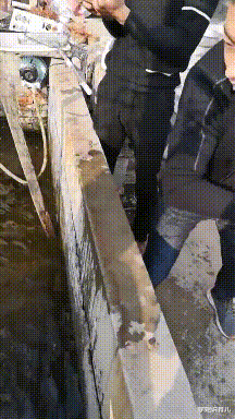 学姐说育儿|“记得以前背书的时候是登黄鹤楼,怎么变成鹳雀楼了”