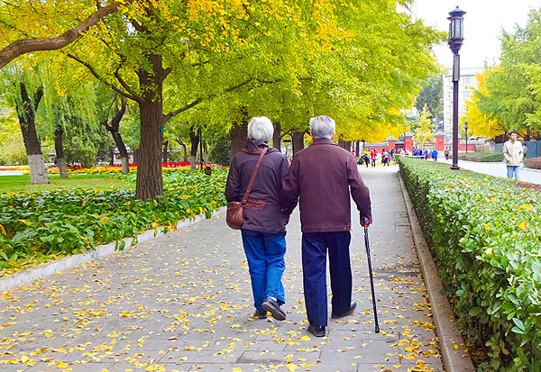 半城炊烟的情感故事|老百姓的日子，安平便是福气——关于“膝关节假体”的一点小常识