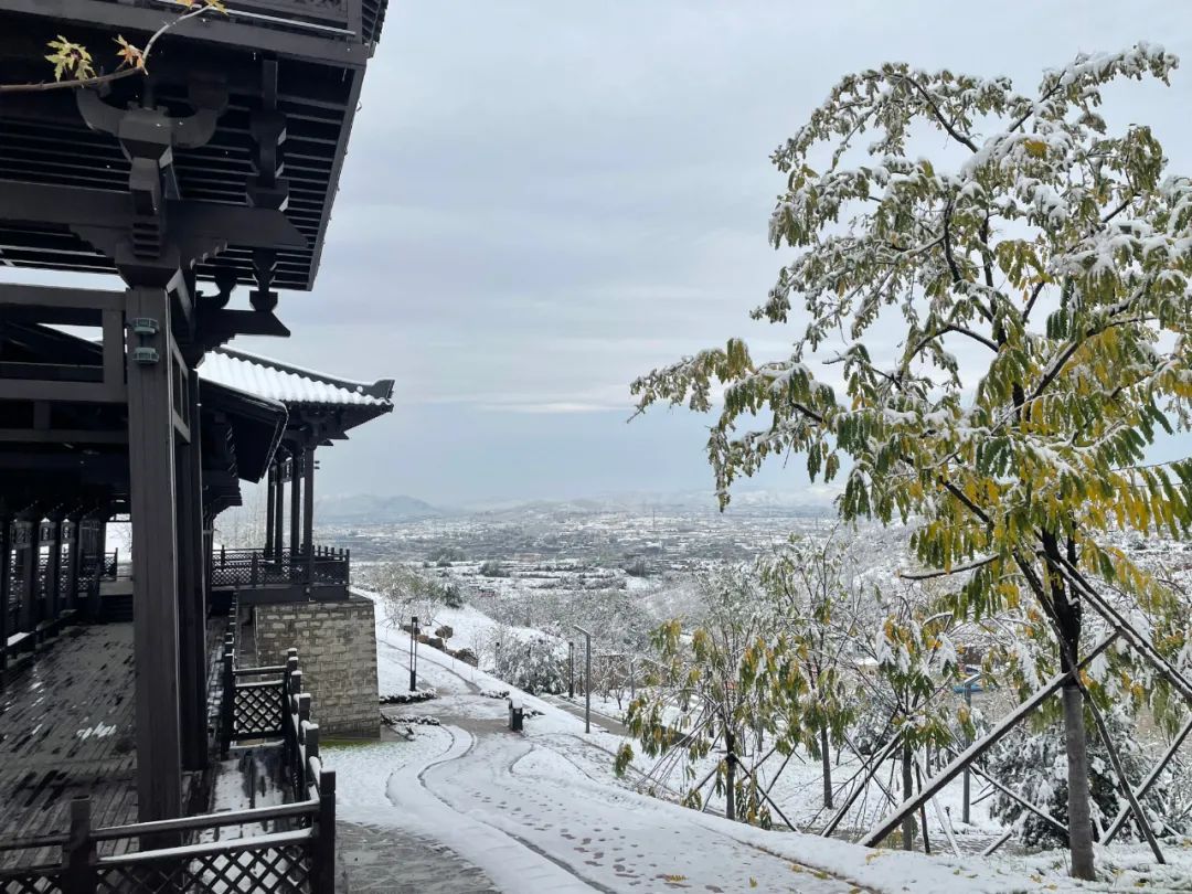 立冬|立冬逢初雪，井陉各处美景不胜收