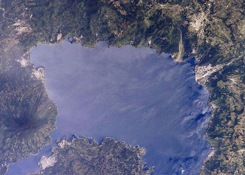 情微说|同类残食，这种鱼出生时还没虾米大，胜利者即为“海洋霸主”