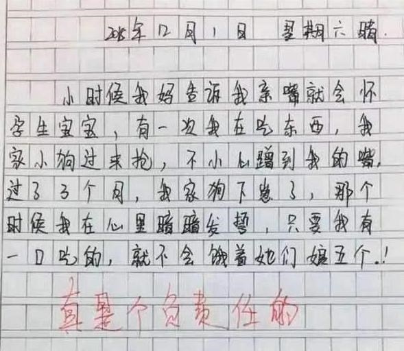 何沐青谈|小学生写出“0分”作文，含义深刻，老师看不下去了