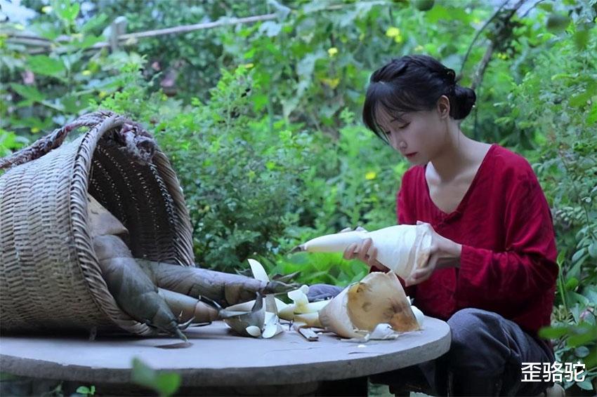 歪骆驼|60岁父亲爱拍短视频，想让儿子成网红，儿子：只想做个理发师