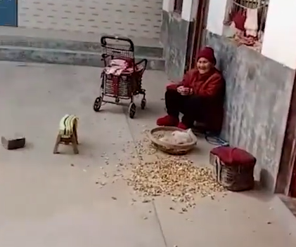 事件快讯 河南4兄弟抢着赡养90多岁老母,哥哥偷偷接走惹兄弟不满