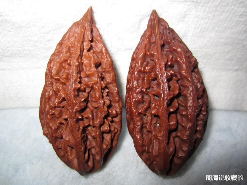 文玩核桃|文玩核桃需不需要打底，封脐