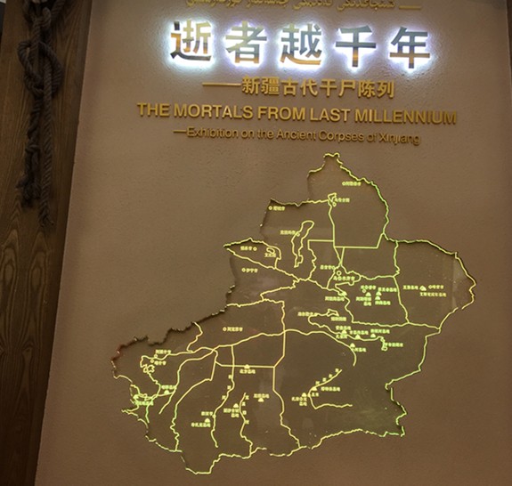 诺妈家有男宝娃|为什么有的孩子是“历史迷”？有的孩子却是“历史盲”？