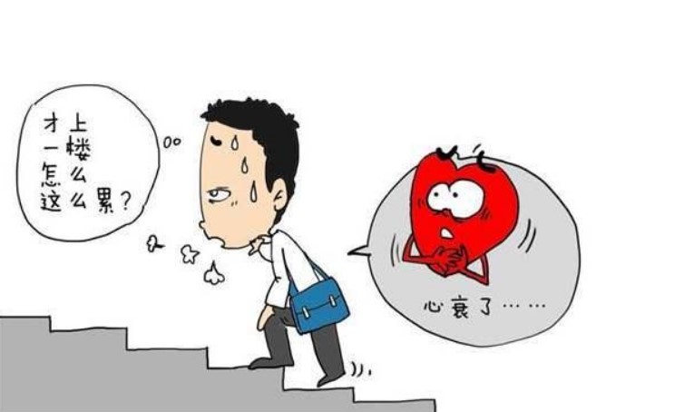 中药|劳累后心慌？三味中药，补气养血，横扫气血不足！