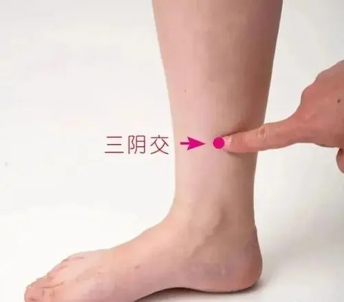 穴位|想要肤白貌美的仙女们,不可不知的女神穴位!坚持每天揉一揉,让你自带女神光环