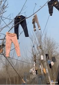 原来可以这样晒衣服,就是有点费树