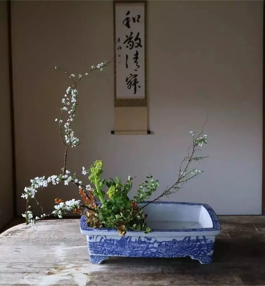 诚然命理 从八字十神看长相，有点意思