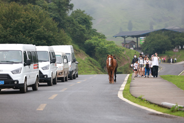 仙女山|让全世界看见，华为宣传片在武隆仙女山取景拍摄