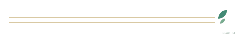 秋冬宅家好物——让你安心过个冬