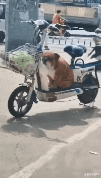  每天产那么多石油，抽空的空隙怎么办？会影响整个地球结构吗？