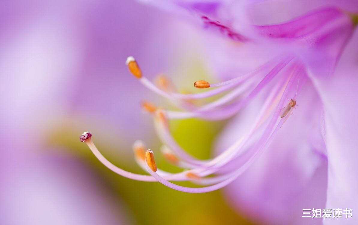 三姐爱读书|爱发脾气的人，心里往往有点自卑