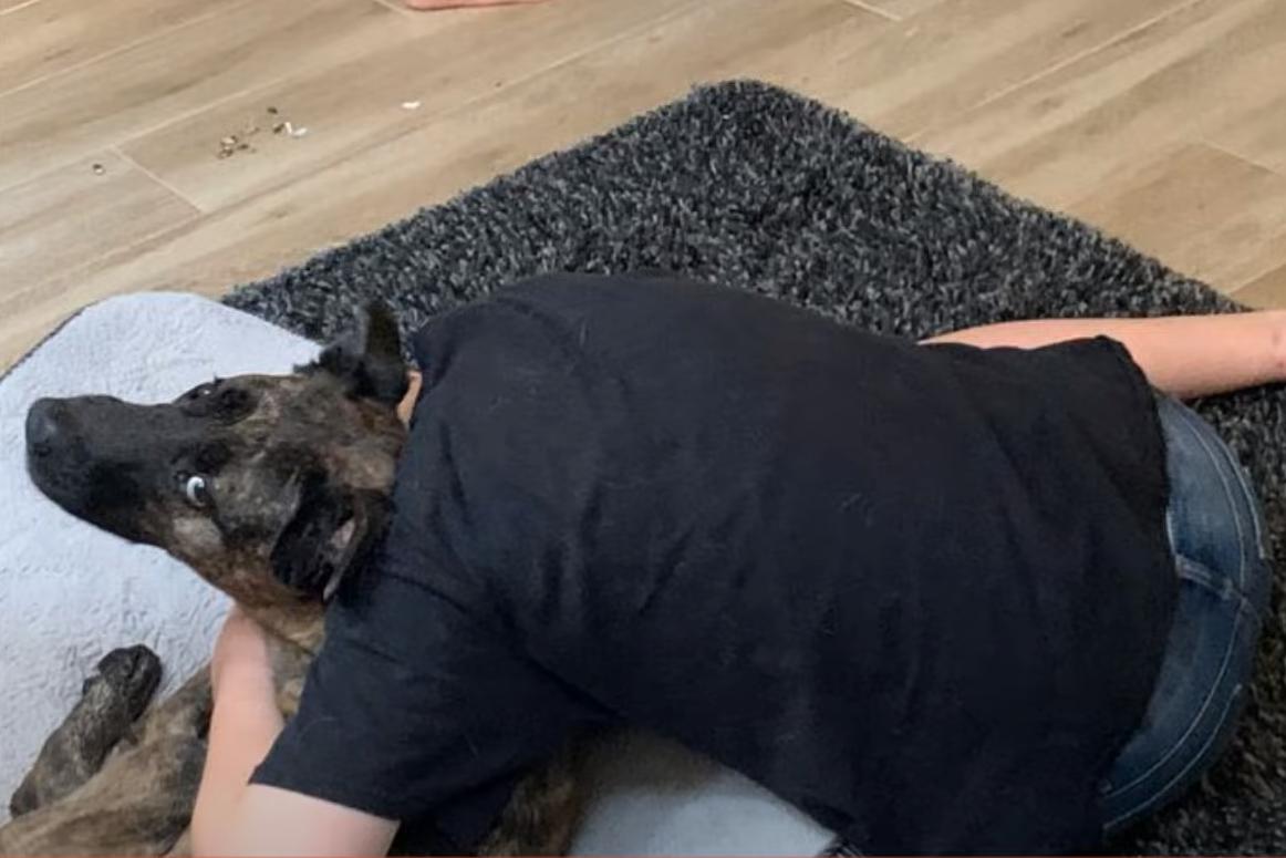 海之归墟|32张带有“误导性”的照片,你能一眼看明白吗?