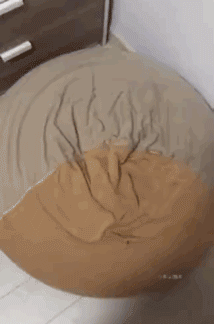 贾云馨|“没想到9岁的甜馨变成了这样，有点不敢认”