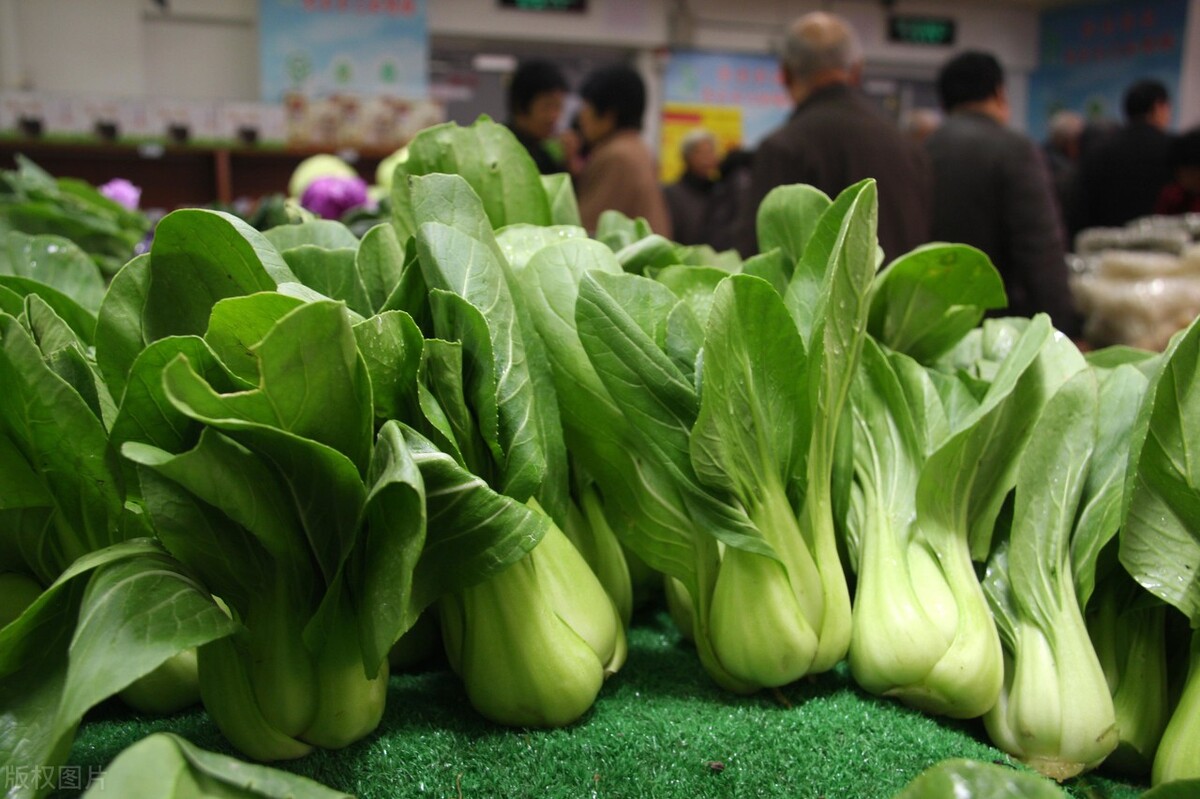 牛奶|钙含量比牛奶还高的5种蔬菜,很多人都不懂,看完文章涨知识了