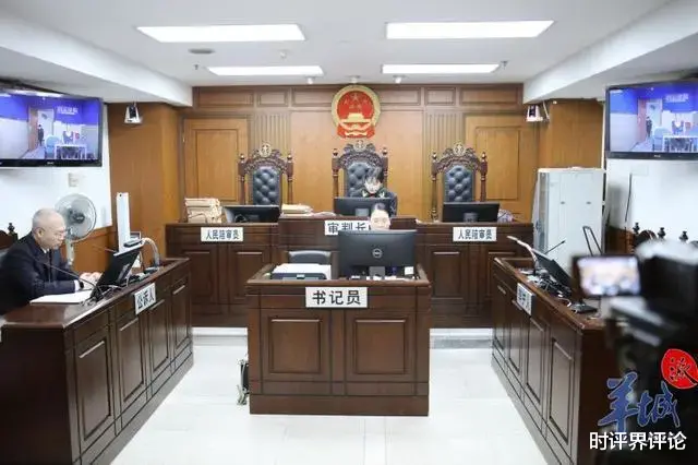 时评界评论 廖卫芳：广州打公交司机凭什么获刑六个月?