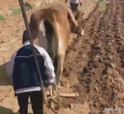 减肥晚餐 大叔刷了200万礼物,终于在如家跟网红女神见面,场面不忍直视!