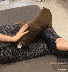 学姐说育儿|“你以前做过最羞耻的事情是什么?”女朋友的回答太tm积极了!