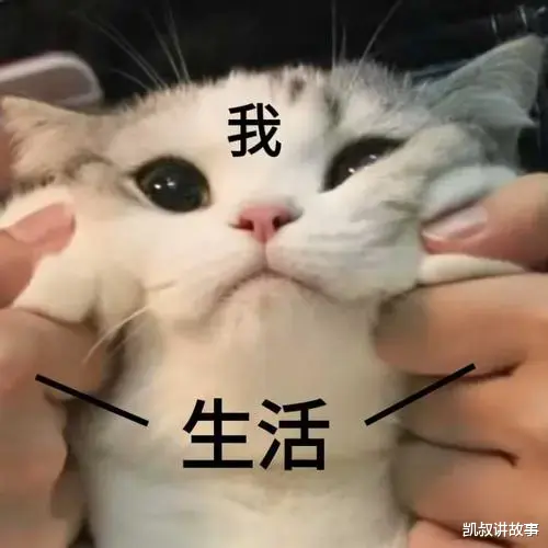 凯叔讲故事|《全国小学生暑假磨人图鉴》