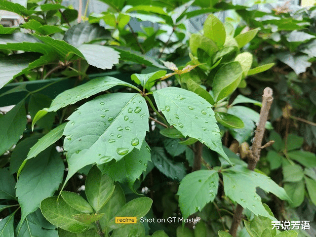 wb战队|两千均衡王者,AMOLED屏+65W+OIS防抖,直降300元