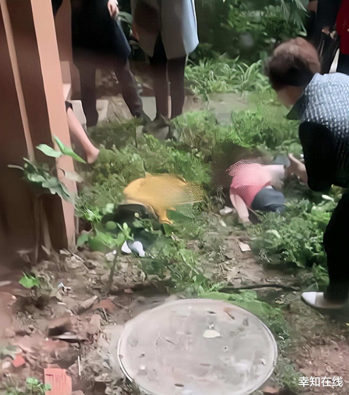 热情如火 6岁女童遭生母及男友虐待案开庭! 结果痛心没有一对父母能置身事外