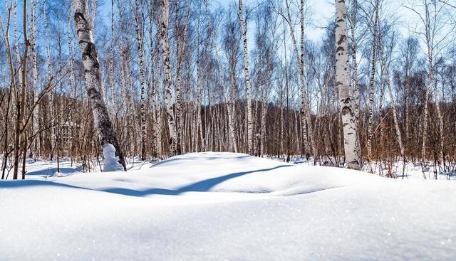 |冬季钓鱼，这4种晴天没鱼吃钩，不要去浪费时间！