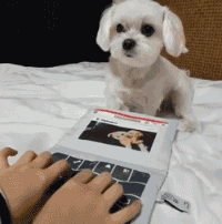 24小时的爱|小伙子退伍,兄弟穿女装迎接?评论区大神顶不住了!