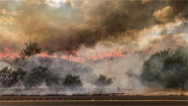 SpaceX 全球多地天气恐怖，专家警告，地球或正在进入第六次生物大灭绝