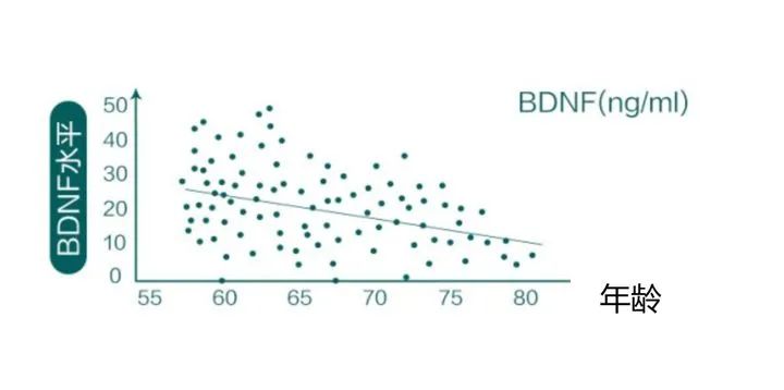 感觉记忆力突然下降?大脑不给力背后,是这种名叫“脑雾”的现象