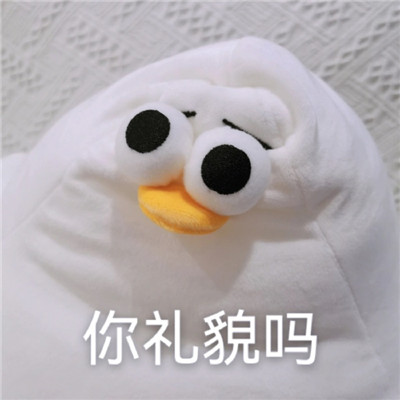 桉月|表情包：你礼貌吗的沙雕表情