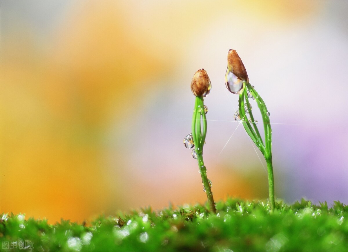 营收|新冠撕掉职场“遮羞布”:亿万打工人和老板关系剑拔弩张