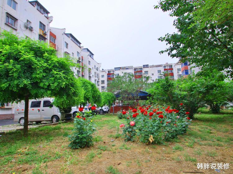 韩胖说装修|谁说一楼房子不能买？我家买一楼带院子，住了6年一直被羡慕