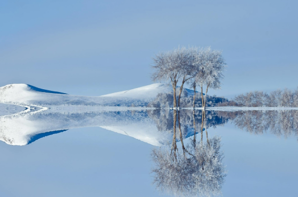 鲨鱼 世界上最冷的地方在哪里？温度是多少？答案你可能想不到