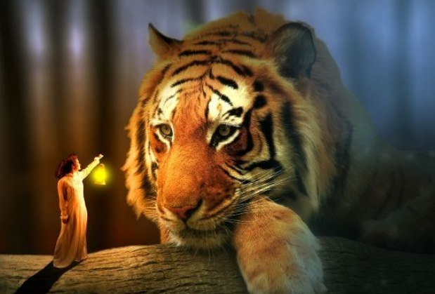 电影霸主 脑洞大开，若把其它生物体型放大10倍，人类还能保住地球霸主吗？