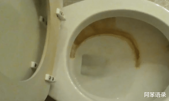 阿笨语录|马桶三天不刷就有黄渍污垢，教你3招，轻松祛黄，无异味